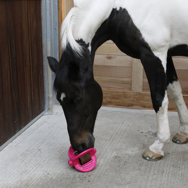 Bizzy Ball 3 in 1 Pferd pink  - Halterung für Lecksteine, Spielzeug, Aromatherapie