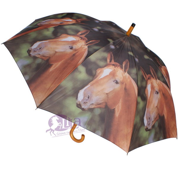 Regenschirm Pferde